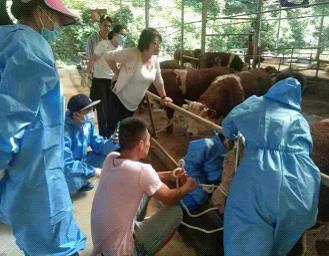 圖片4.jpg