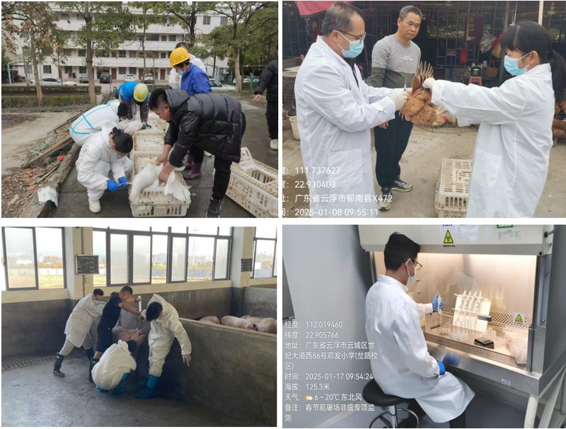 微信截圖_20250126163645.jpg